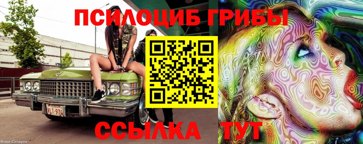 Псилоцибиновые грибы GOLDEN TEACHER Светлоград